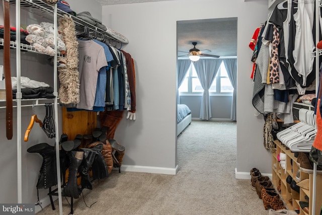 spacious closet with carpet floors and ceiling fan