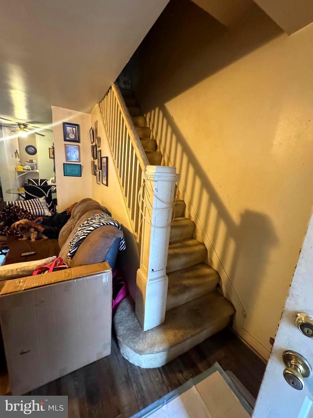 stairway with a ceiling fan and wood finished floors