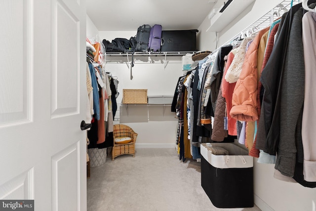 spacious closet with carpet