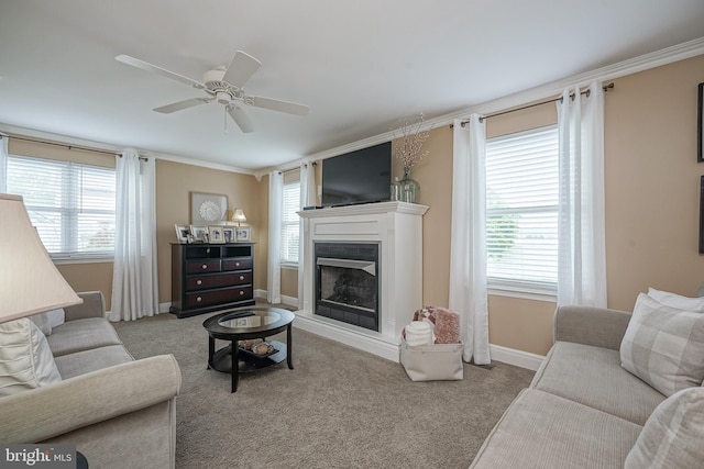 carpeted living room featuring a fireplace with raised hearth, ornamental molding, baseboards, and ceiling fan