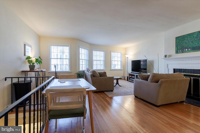 living area with a glass covered fireplace and wood finished floors