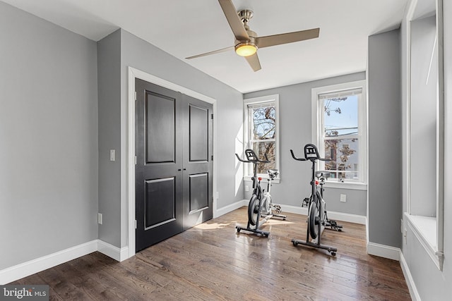 workout room with ceiling fan, baseboards, and wood finished floors