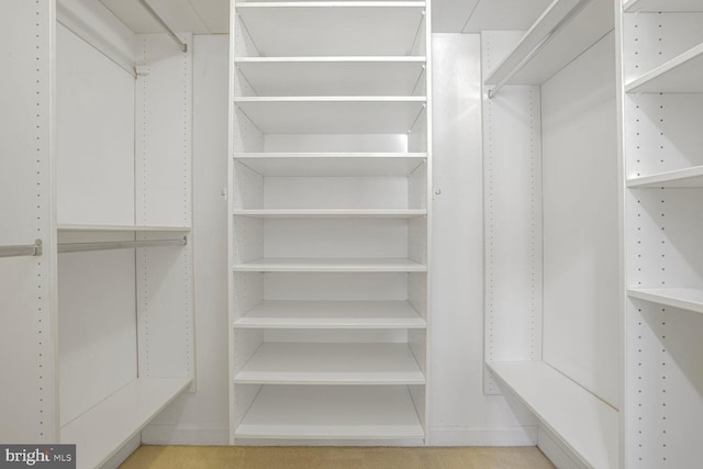 view of spacious closet