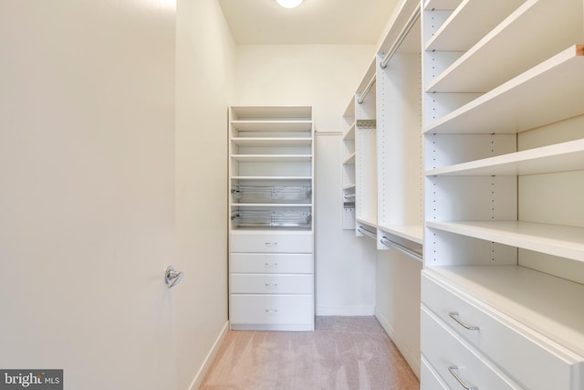 spacious closet with light carpet