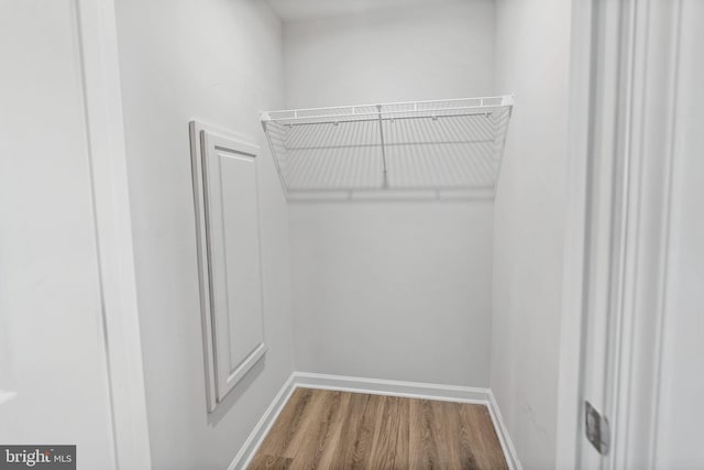 spacious closet featuring wood finished floors