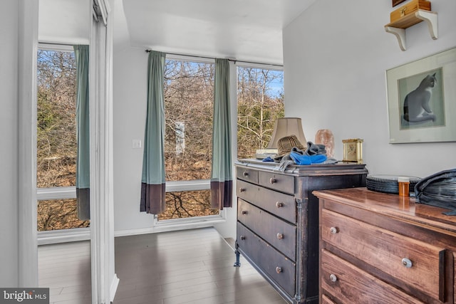 interior space with wood finished floors