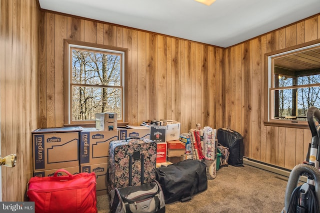 interior space featuring plenty of natural light, wood walls, and carpet