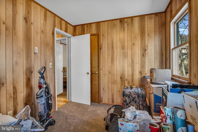 interior space with a wealth of natural light, wooden walls, and carpet floors