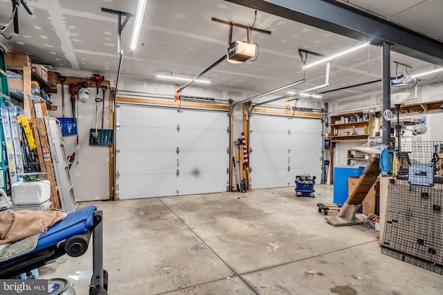 garage with a garage door opener