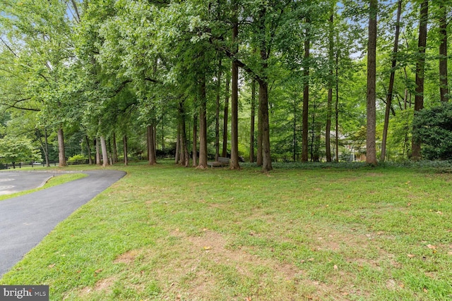 view of yard featuring aphalt driveway