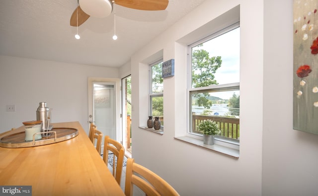 dining area with ceiling fan