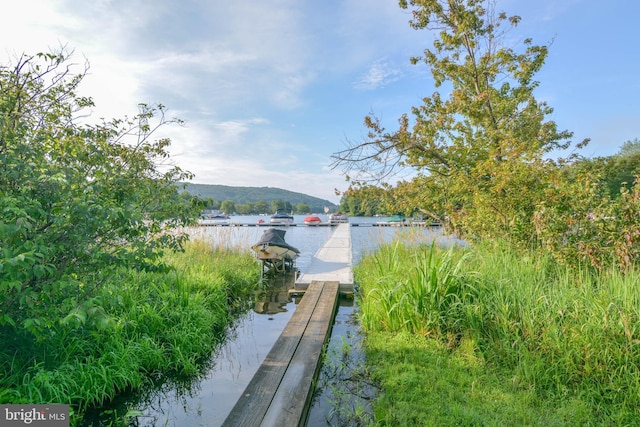 water view featuring a dock