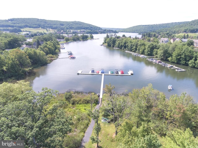 bird's eye view featuring a forest view and a water view