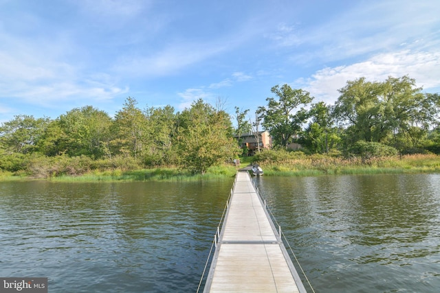 dock area with a water view