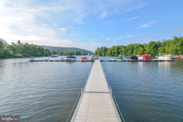 dock area with a water view