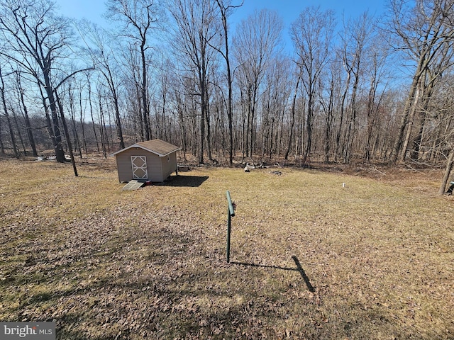 view of yard featuring an outbuilding and a shed