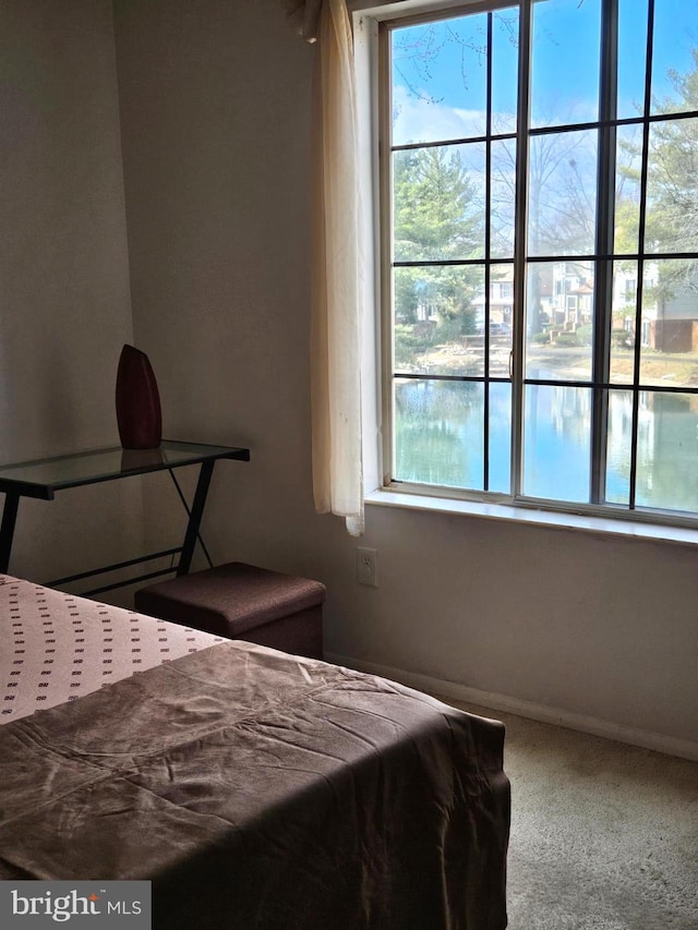 bedroom featuring carpet, baseboards, and a water view