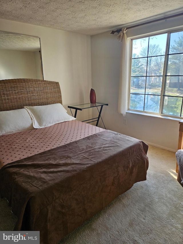 bedroom with carpet flooring, a textured ceiling, and baseboards