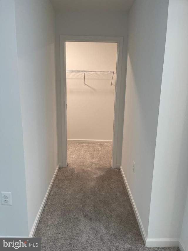 hallway with baseboards and carpet floors