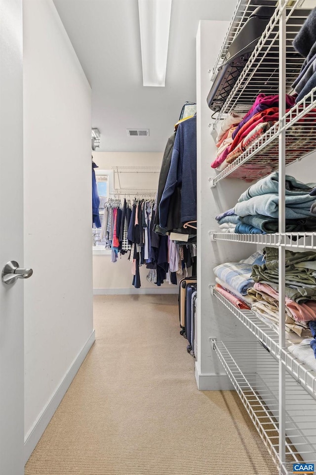 spacious closet featuring carpet flooring and visible vents