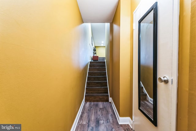 stairway with baseboards and wood finished floors