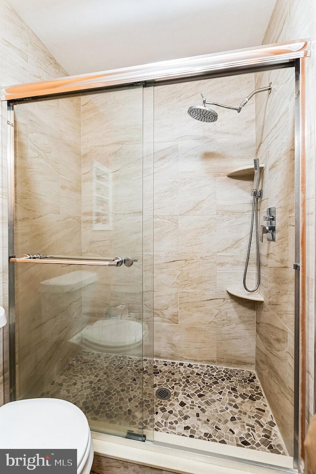 full bathroom with a shower stall and toilet