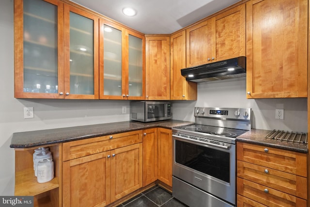 kitchen with glass insert cabinets, under cabinet range hood, dark stone counters, brown cabinets, and stainless steel appliances