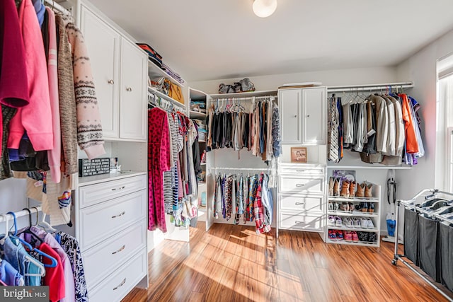 spacious closet with light wood finished floors