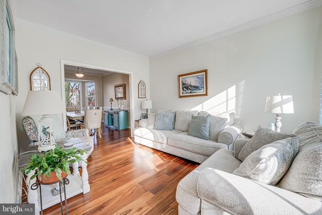 living area featuring wood finished floors and ornamental molding