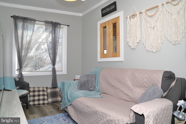 interior space featuring crown molding, wood finished floors, and a healthy amount of sunlight