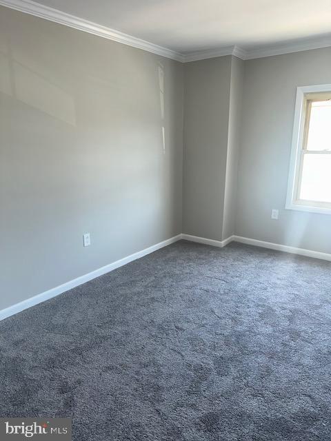 spare room with carpet flooring, crown molding, and baseboards