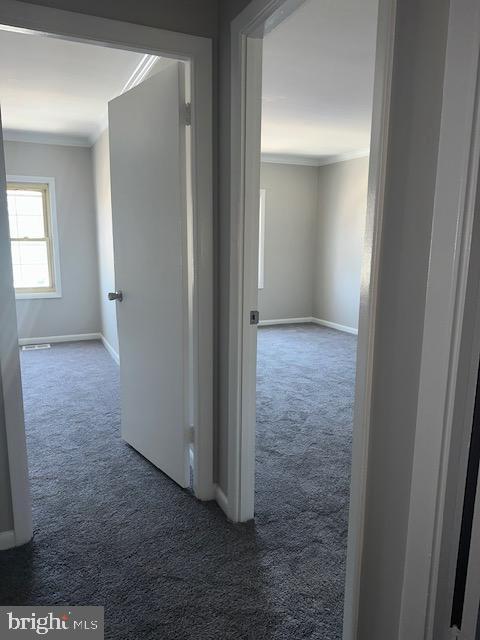 hall featuring ornamental molding, baseboards, and carpet floors