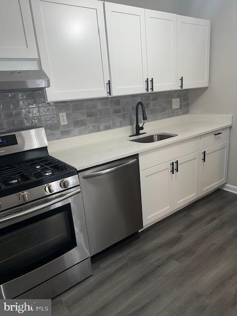 kitchen featuring ventilation hood, light countertops, stainless steel appliances, white cabinetry, and a sink