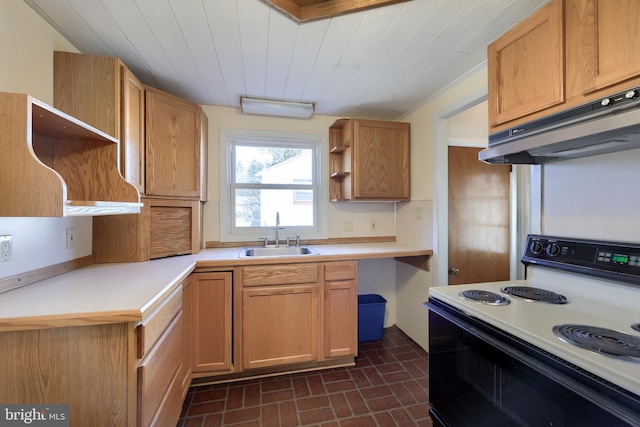 kitchen featuring a sink, electric range, under cabinet range hood, and light countertops