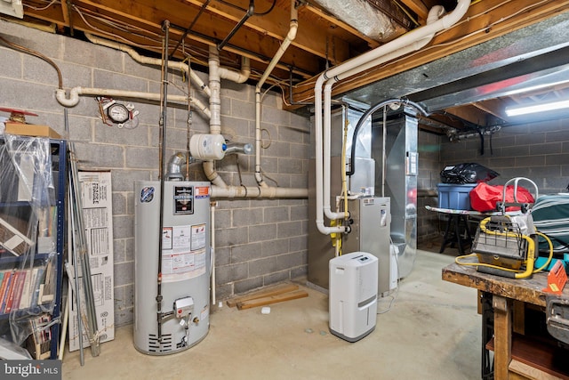 unfinished below grade area featuring gas water heater