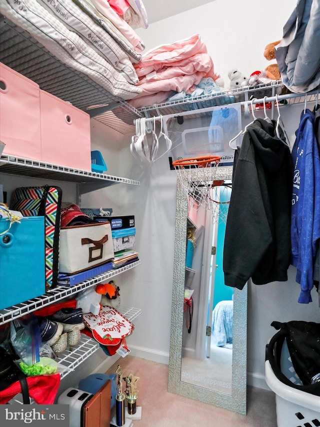 view of spacious closet