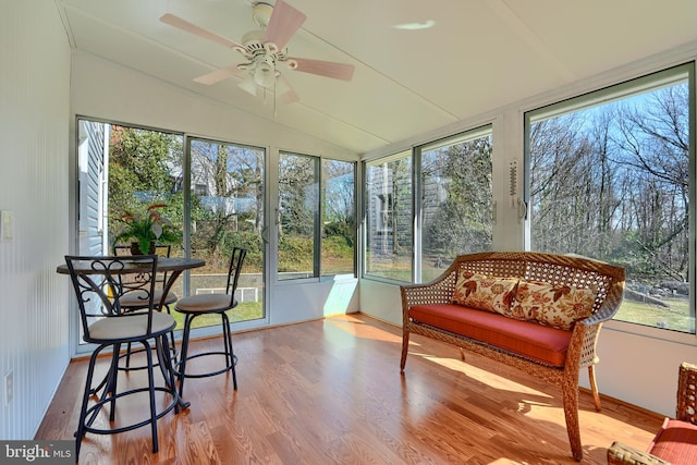 sunroom with lofted ceiling and a ceiling fan