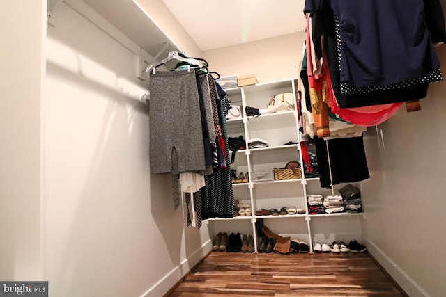 spacious closet featuring wood finished floors