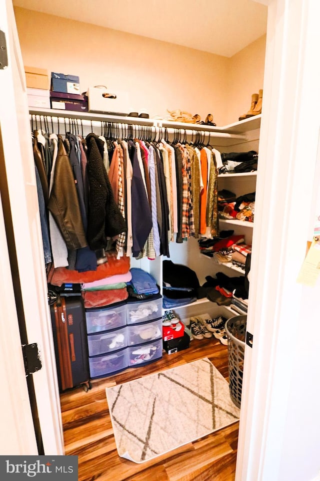 walk in closet featuring wood finished floors