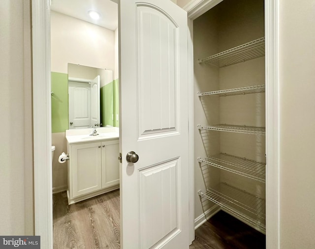 closet with a sink