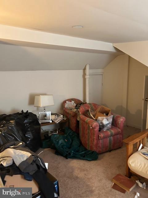 additional living space with carpet floors and vaulted ceiling