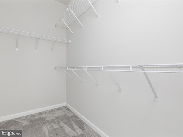 325 Quinton Oaks Cir, Stephens City, VA 22655 - spacious closet featuring carpet
