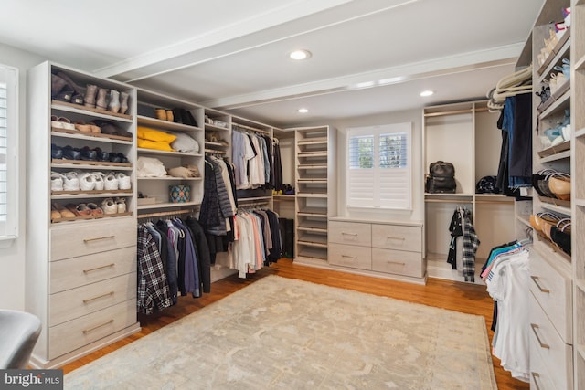 walk in closet featuring wood finished floors