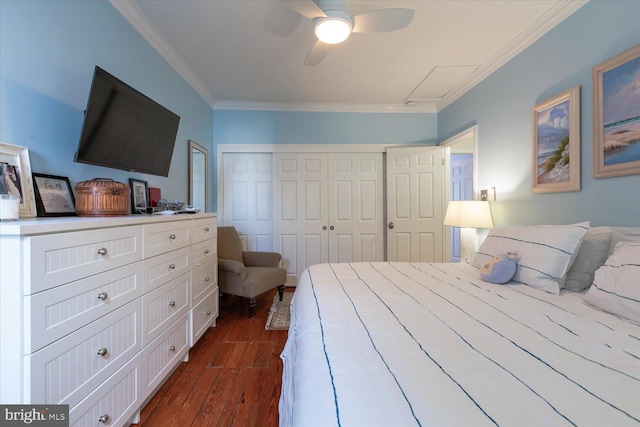 bedroom with dark wood-type flooring, crown molding, a closet, and ceiling fan