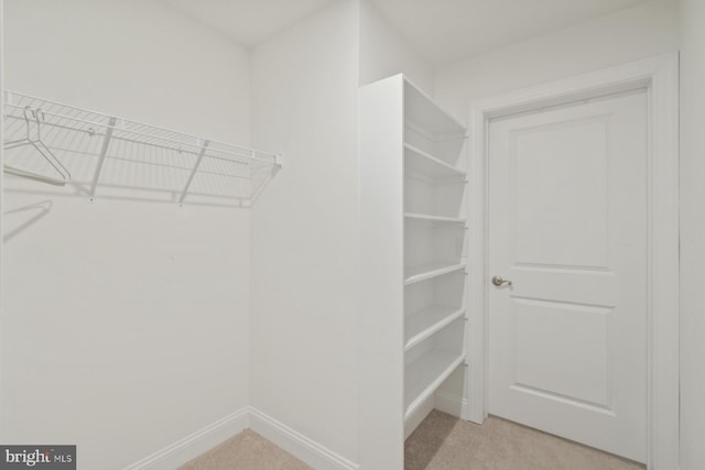 spacious closet with light colored carpet