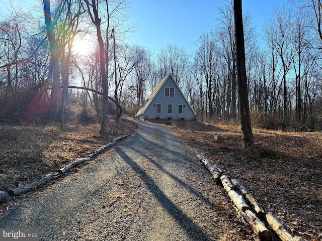 view of street with driveway