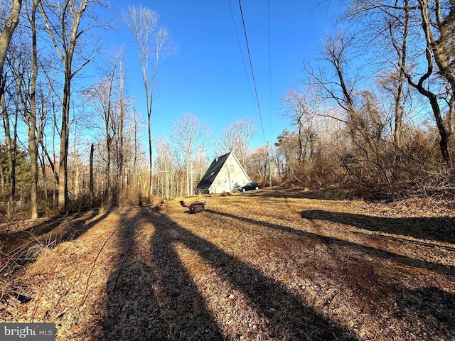 view of road featuring dirt driveway