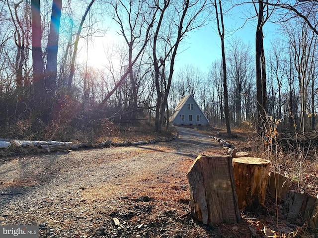 view of street with driveway