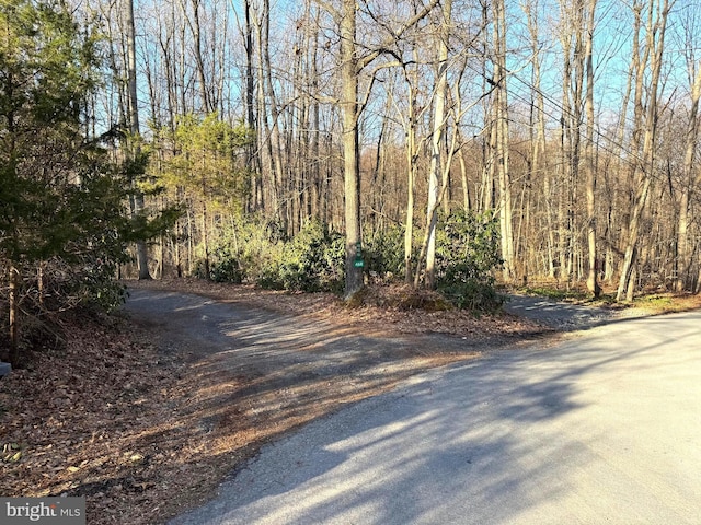 view of street with a forest view