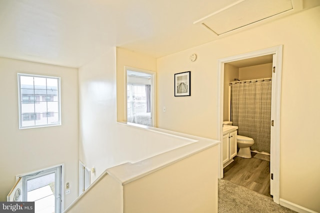 hallway featuring a wealth of natural light and dark wood finished floors